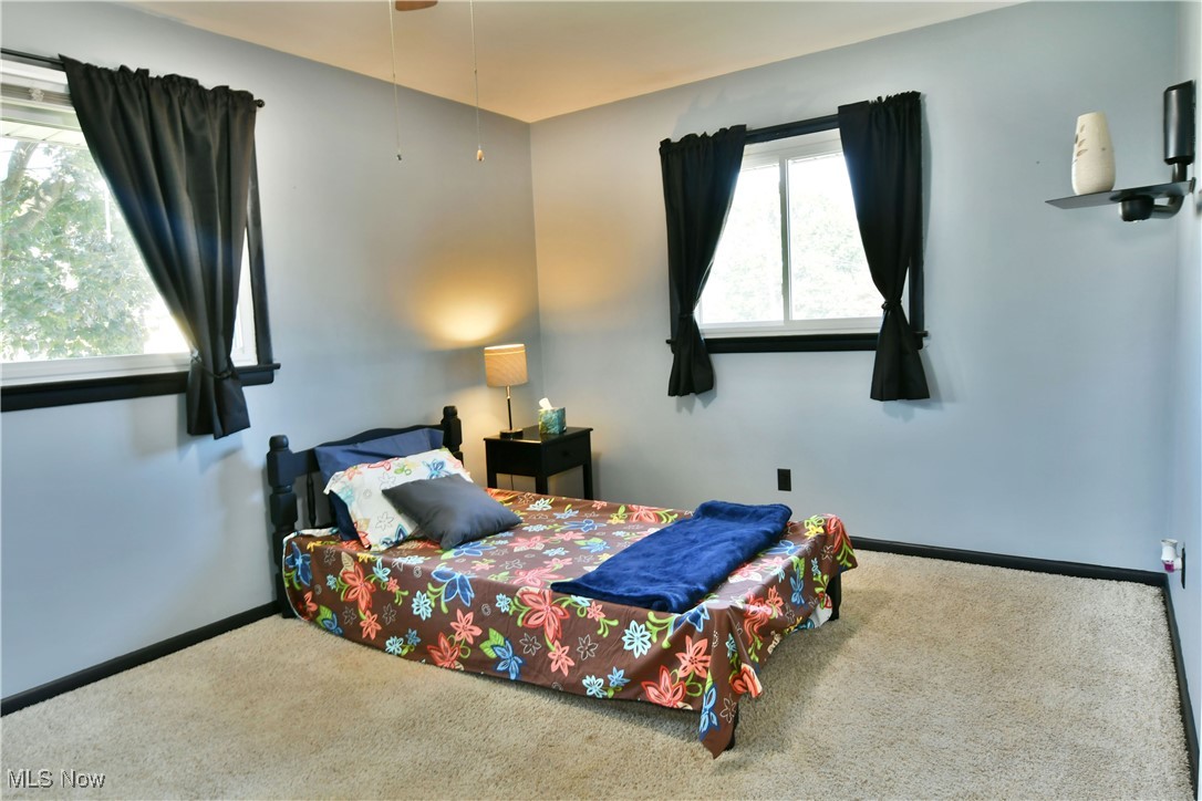 580 Como Street Struthers, OH 44471 - Photo 33 of 50 Gallery Image 33
