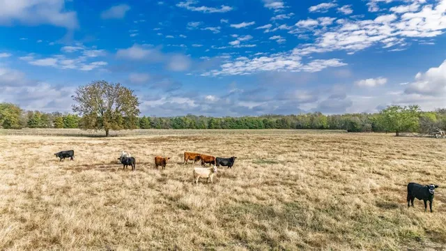 a view of a lake with a yard