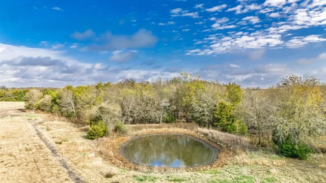 a view of a yard with swimming pool and green space