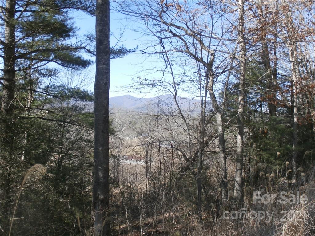 6 Springs Ridge Road, Unit 2 Spruce Pine, NC 28777 - Photo 2 of 14 Gallery Image 2