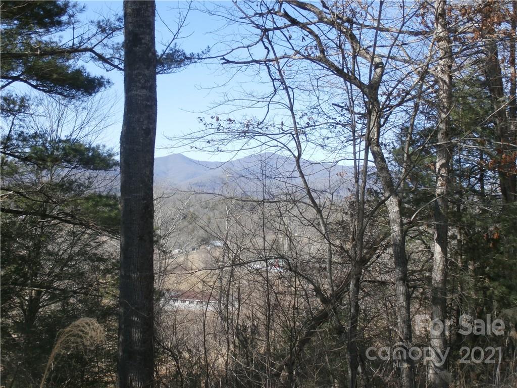 6 Springs Ridge Road, Unit 2 Spruce Pine, NC 28777 - Photo 3 of 14 Gallery Image 3