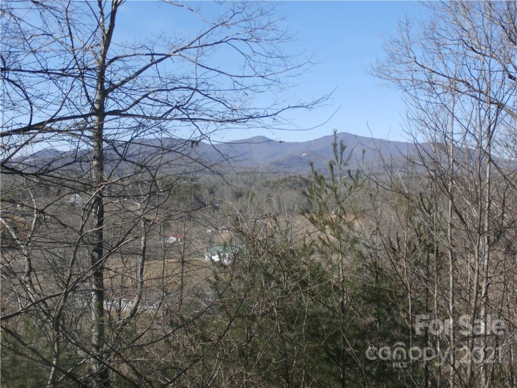 6 Springs Ridge Road, Unit 2 Spruce Pine, NC 28777 - Photo 4 of 14 Gallery Image 4