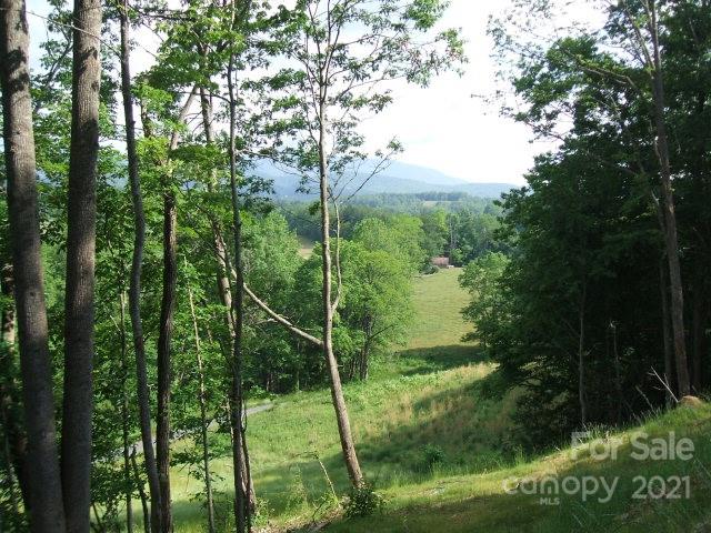 6 Springs Ridge Road, Unit 2 Spruce Pine, NC 28777 - Photo 8 of 14 Gallery Image 8