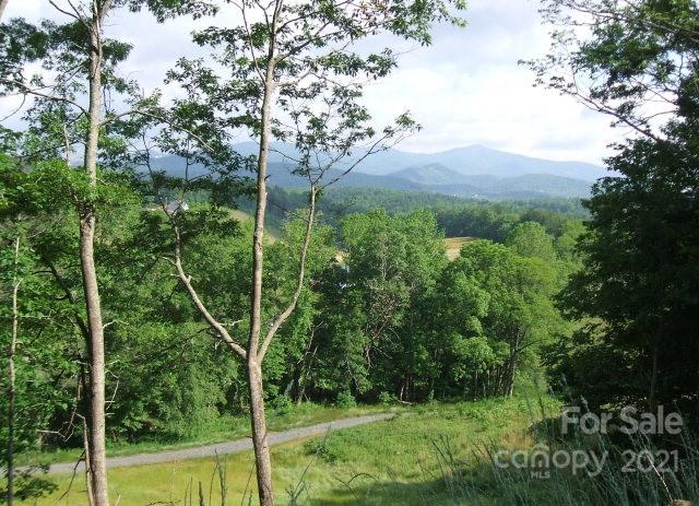 6 Springs Ridge Road, Unit 2 Spruce Pine, NC 28777 - Photo 9 of 14 Gallery Image 9