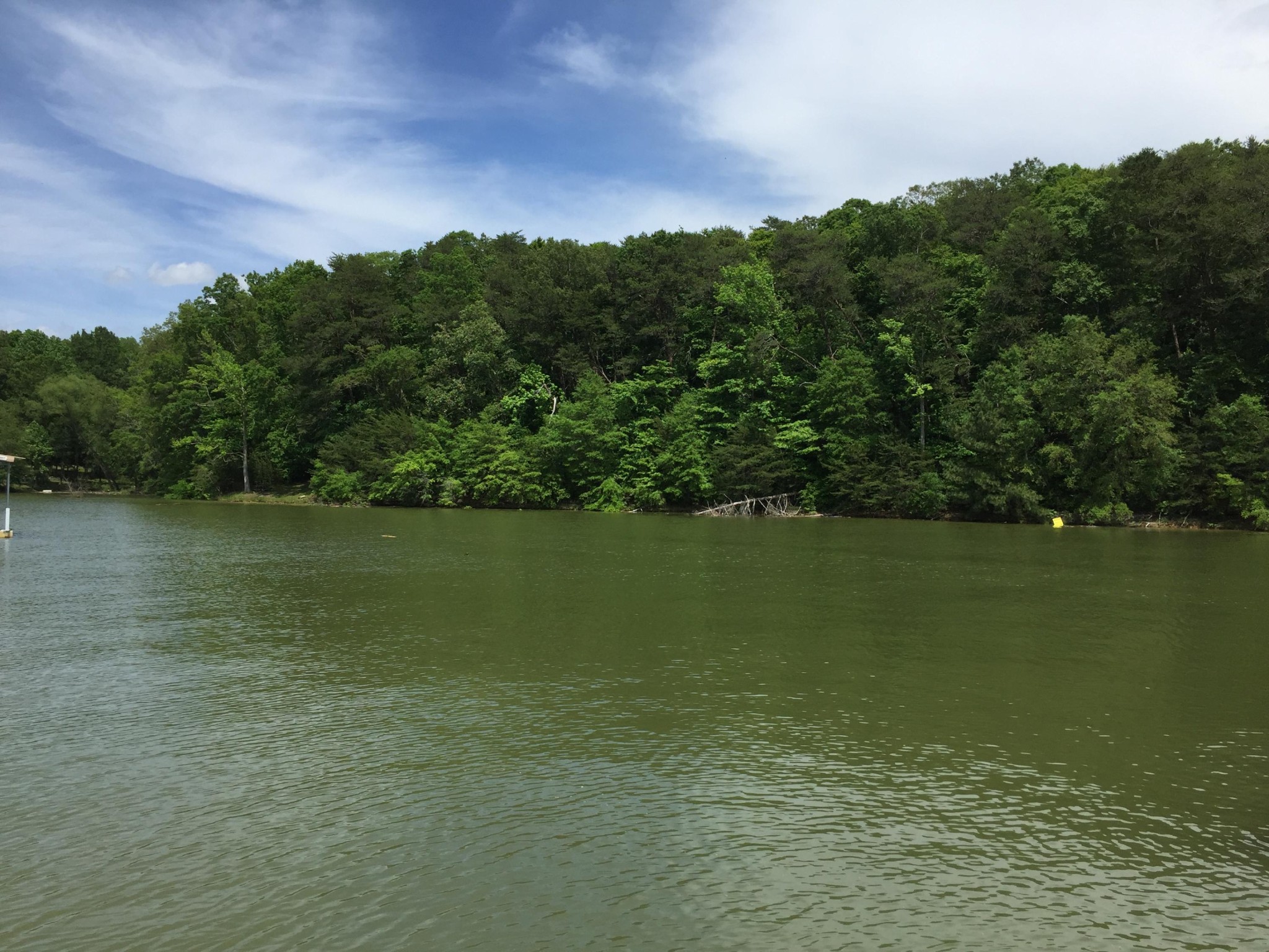 841 Harrison Ferry Road White Pine, TN 37890 - Photo 2 of 11 Gallery Image 2