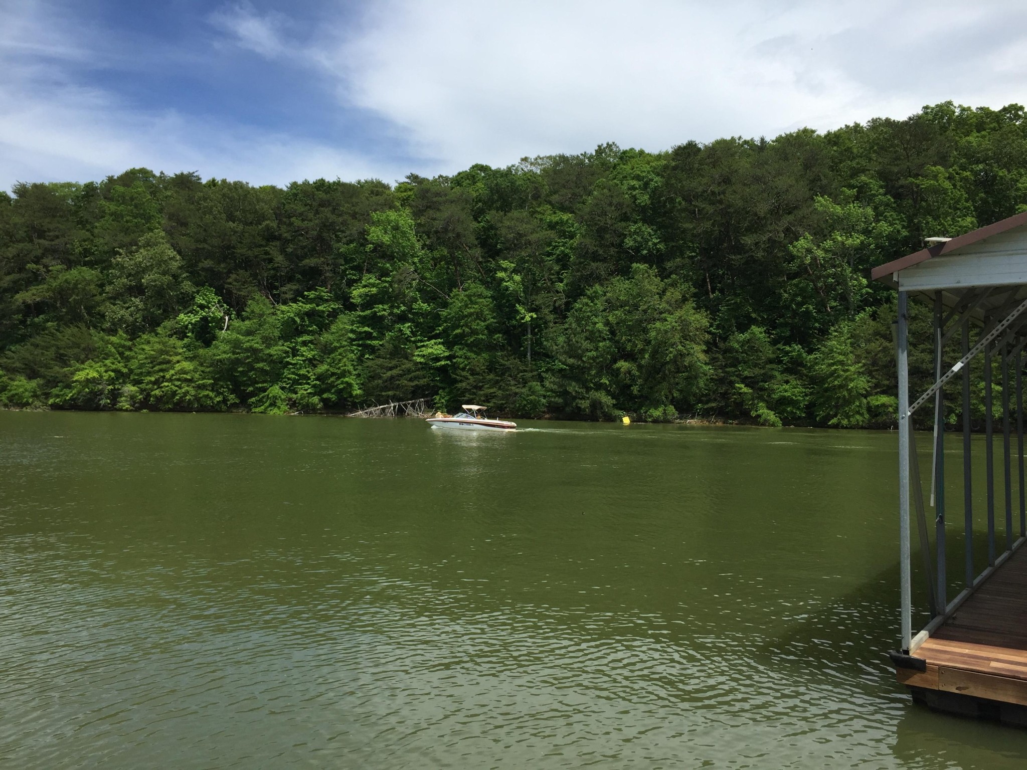 841 Harrison Ferry Road White Pine, TN 37890 - Photo 5 of 11 Gallery Image 5