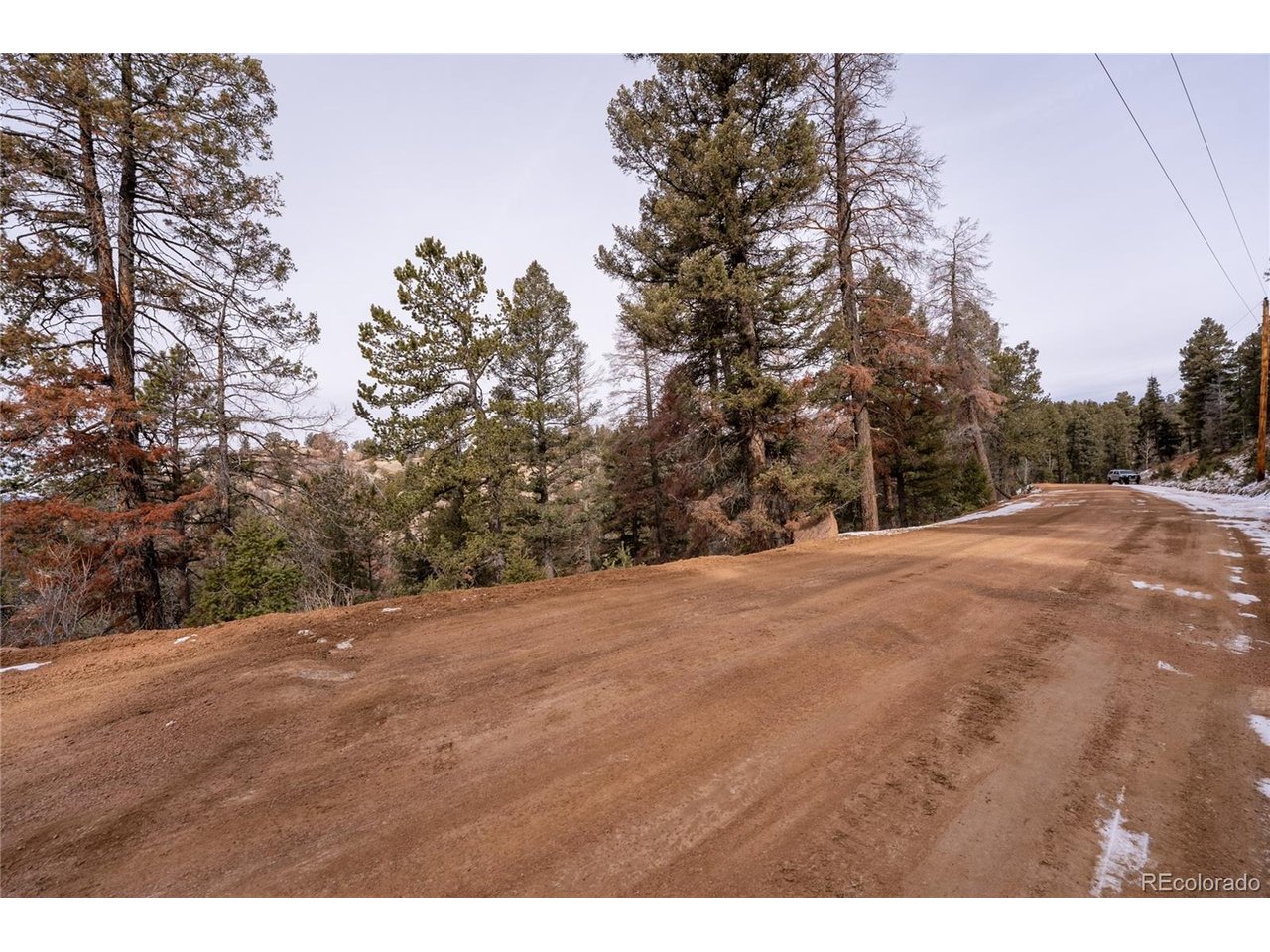 3388 North Mountain Estates Road Florissant, CO 80816 - Photo 11 of 36 a view of a backyard of the house