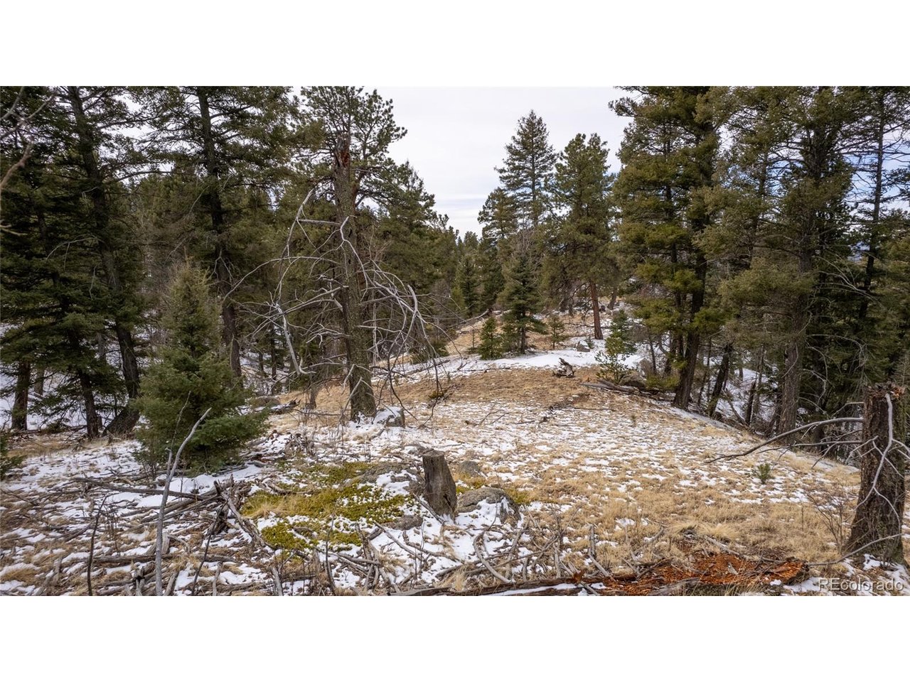 3388 North Mountain Estates Road Florissant, CO 80816 - Photo 27 of 36 a view of a backyard