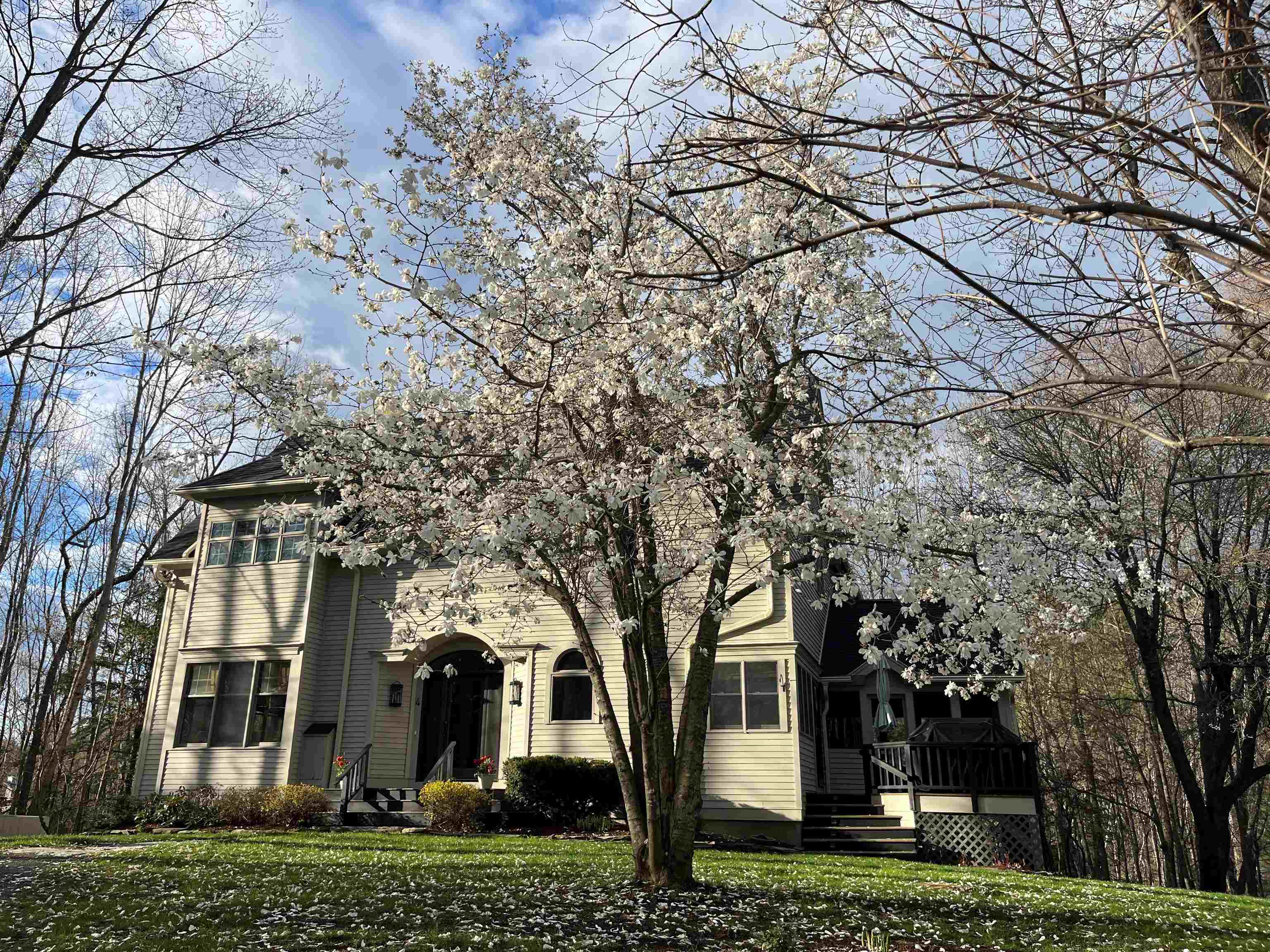 4 Old Spring Drive Grantham, NH 03753 - Photo 36 of 36