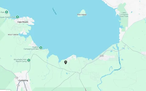 $60,000 | Tbd Bradley Road, Coldspring, TX 77331