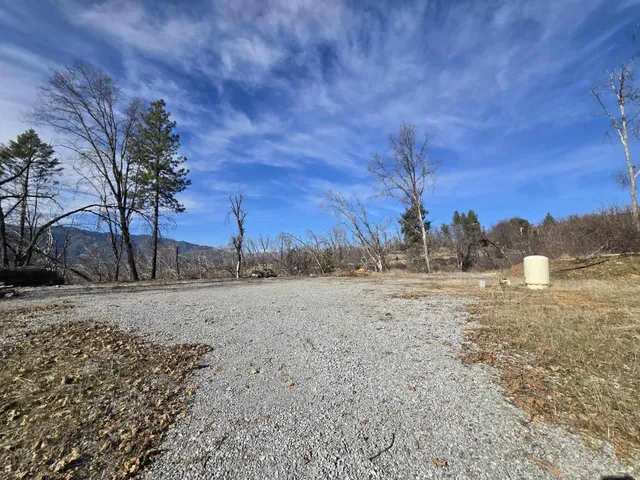 a view of dirt yard with large trees