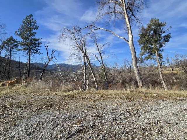 a view of a yard with a snow