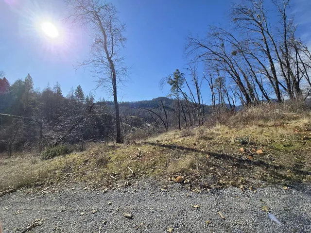 a view of dirt yard with a tree