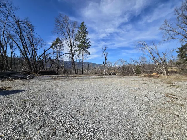 a view of a backyard with wooden fence