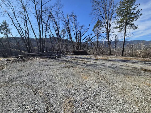 a view of a yard with some trees