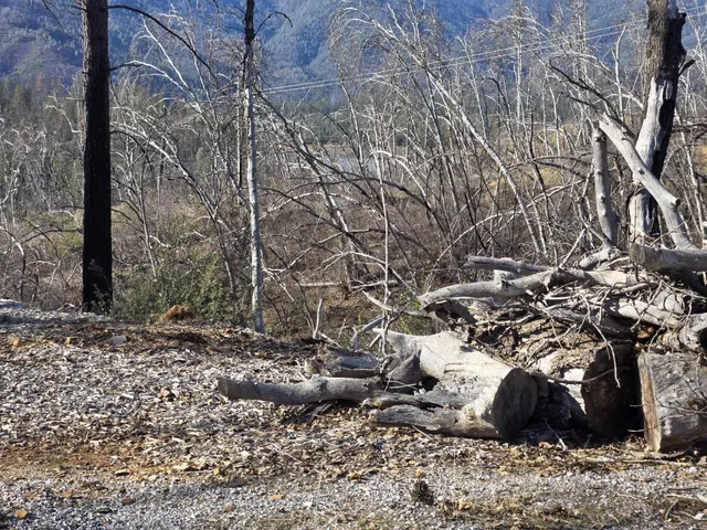 a view of a yard covered with snow