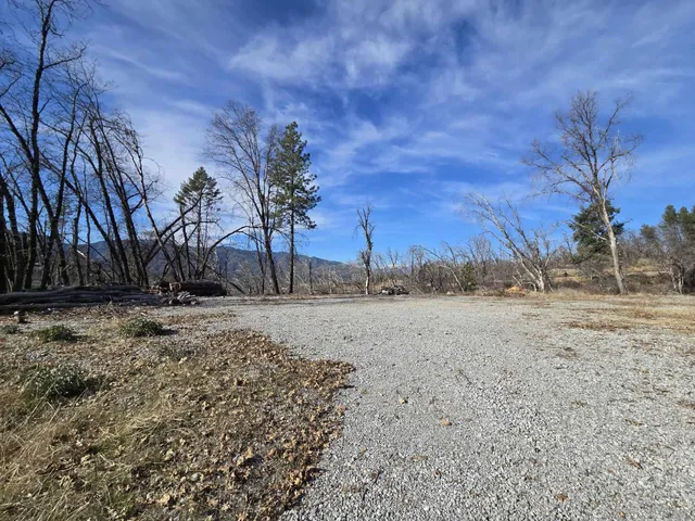 a view of dirt yard with a large tree