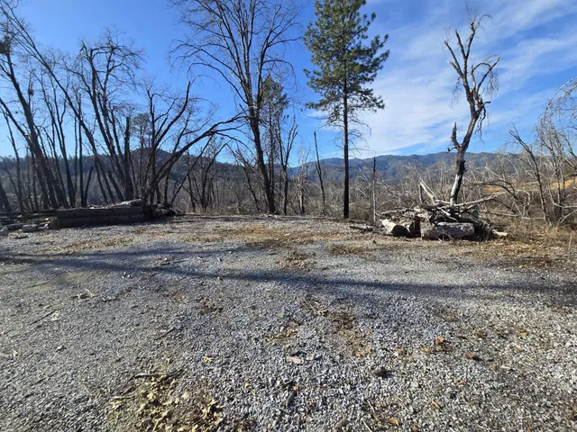 a view of a dry yard with trees