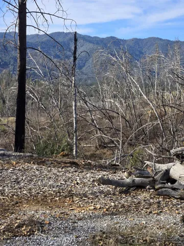 a view of a yard with snow on the road