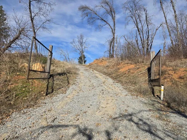 a view of a dry yard