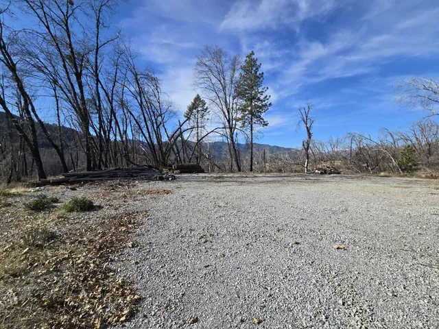 a view of dirt yard with a large tree