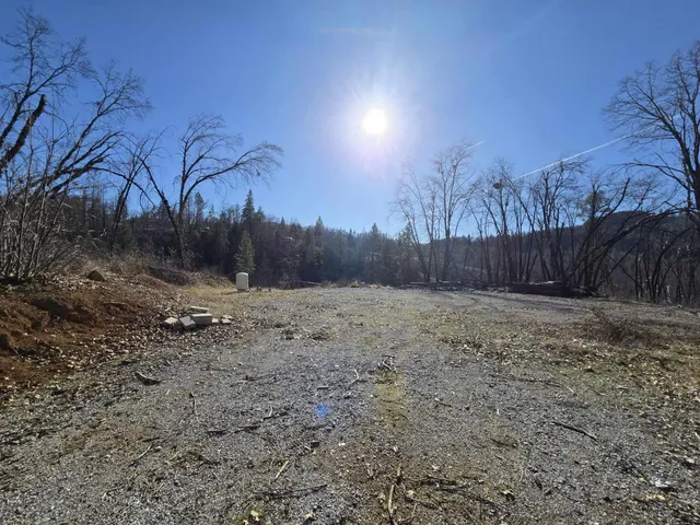 a view of a backyard with trees