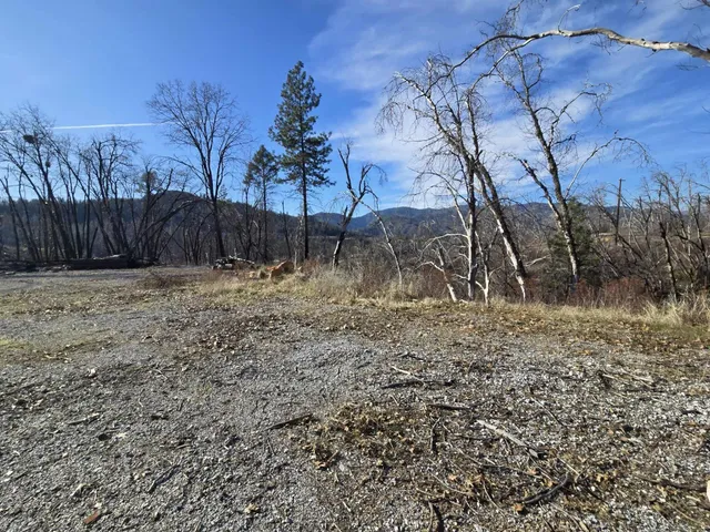 a view of backyard with wooden fence