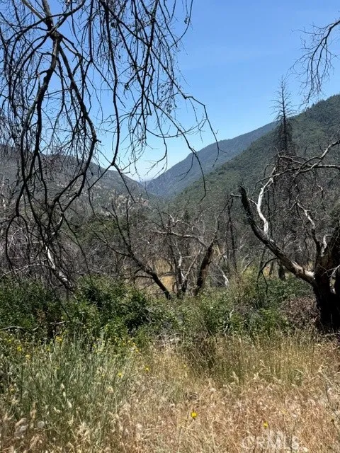 24 North 35 Road Paskenta, CA 96074 - Photo 30 of 41 View from cabin area