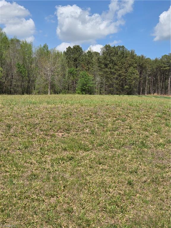 8342 West Harrell Road Oak Ridge, NC 27310 - Photo 2 of 3