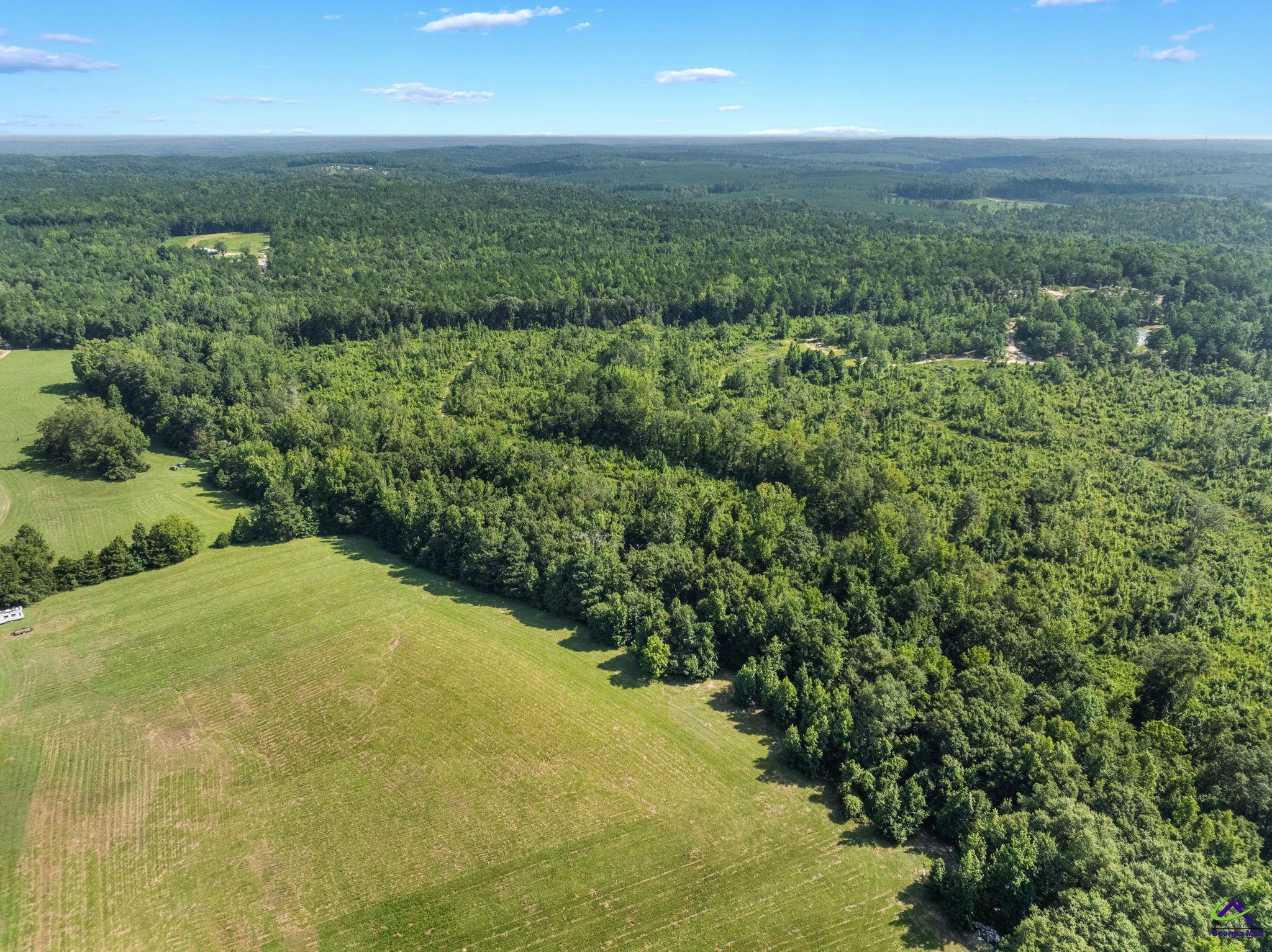 785 Moncrief Road Roberta, GA 31078 - Photo 10 of 29