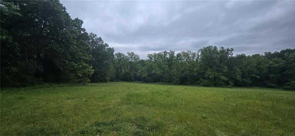 12668 East Panama Road Nevada, MO 64772 - Photo 1 of 8