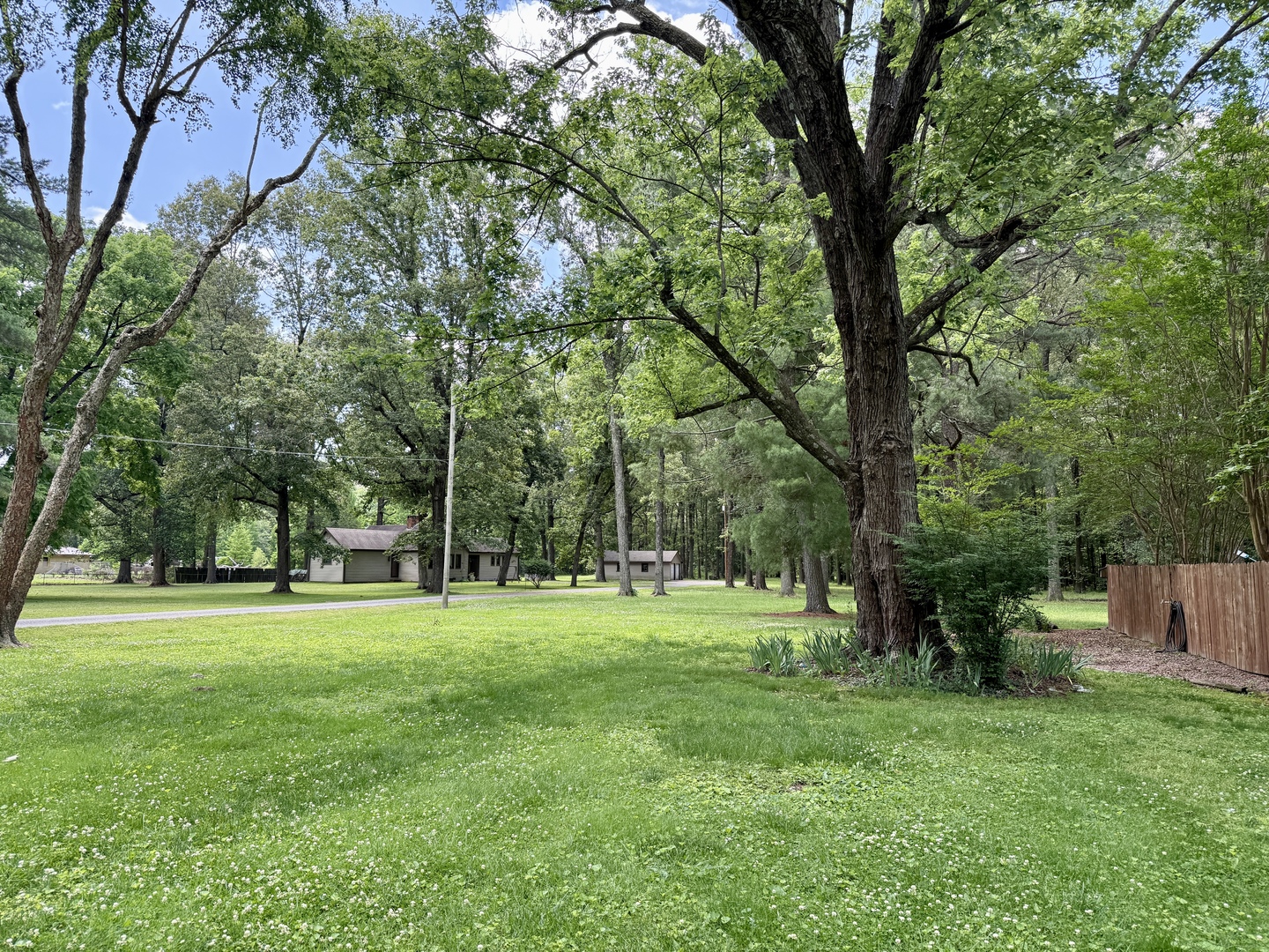 956 Country Club Road Metropolis, IL 62960 - Photo 42 of 48 a view of a park with a tree in the background