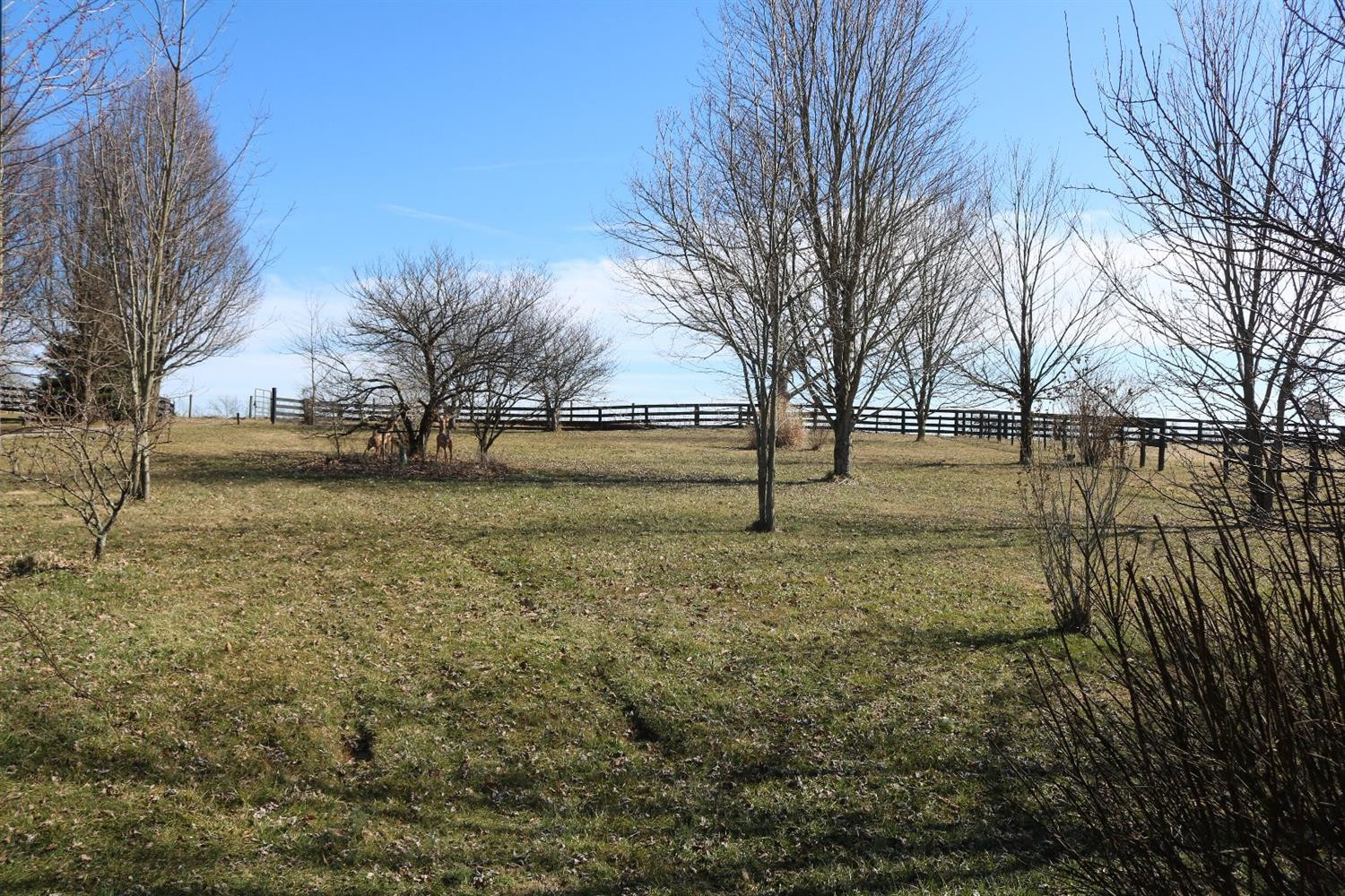 106 Walnut Grove Road Paris, KY 40361 - Photo 54 of 56 Photo 54