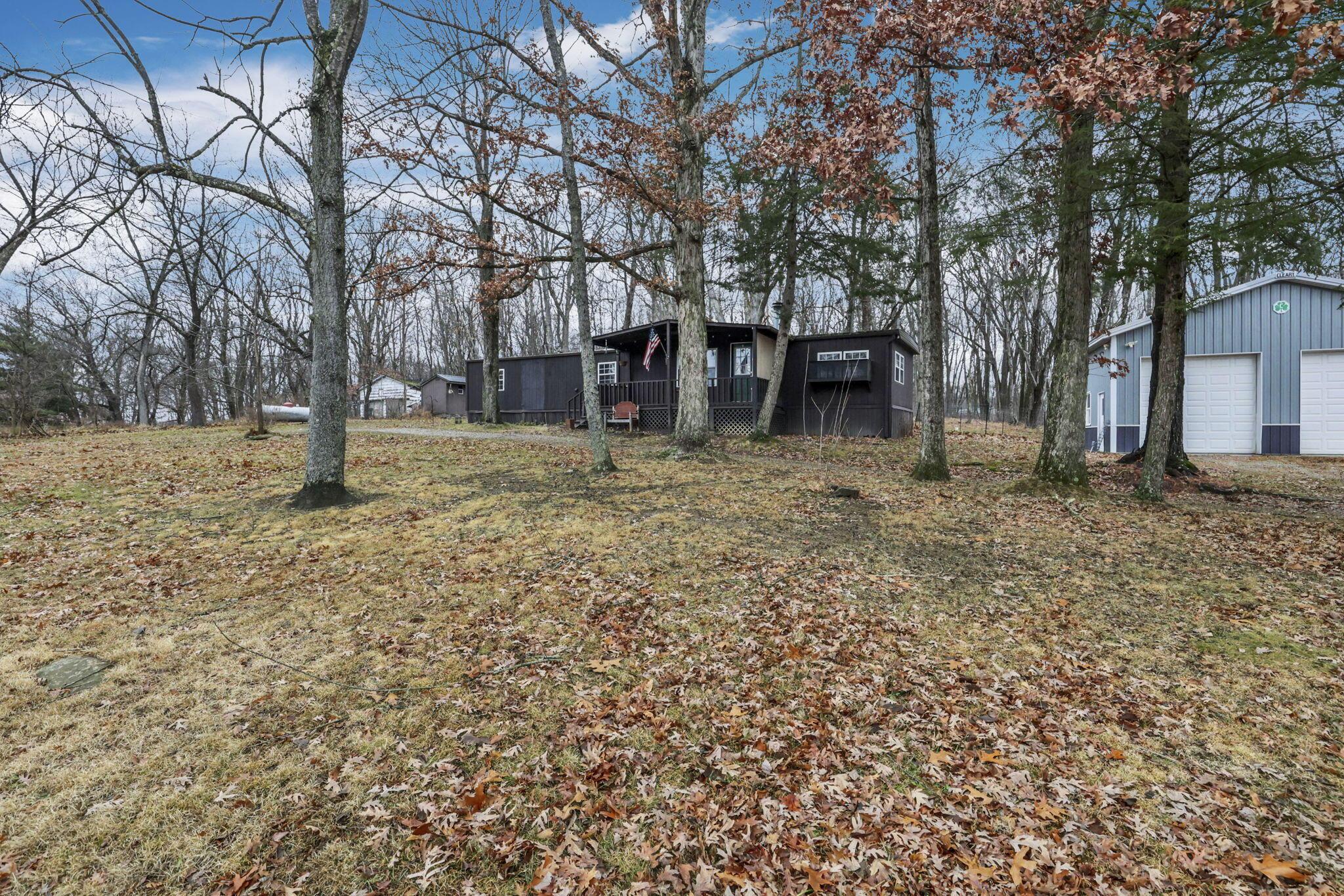 3-web-or-mls-011A2682