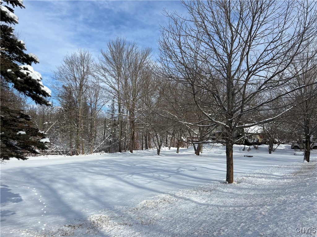 452 County Rte 28 Pulaski, NY 13142 - Photo 7 of 50 Gallery Image 7