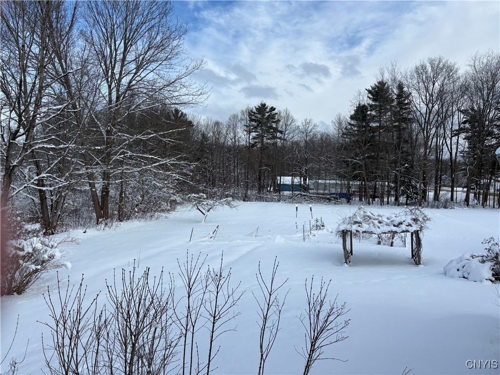 452 County Rte 28 Pulaski, NY 13142 - Photo 8 of 50 Backyard view.