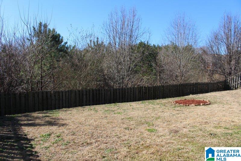 413 Old Cahaba Way Helena, AL 35080 - Photo 4 of 28
