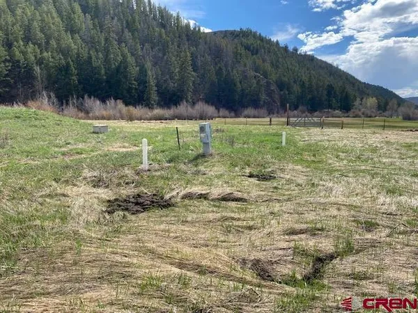 a view of a green yard