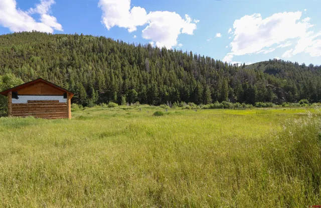 $285,000 | 101-131 Mountain Lion Lane, Parlin, CO 81239