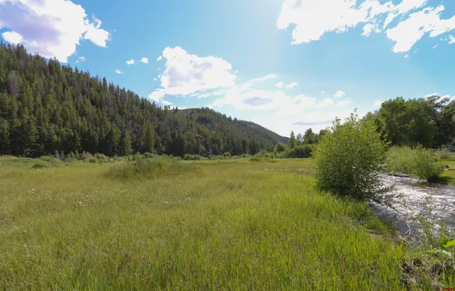 $285,000 | 101-131 Mountain Lion Lane, Parlin, CO 81239