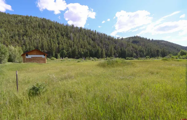 a view of a street with a yard