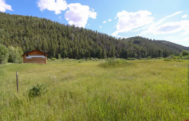 $285,000 | 101-131 Mountain Lion Lane, Parlin, CO 81239