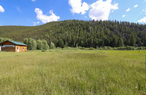 a view of a green field with mountains in the background