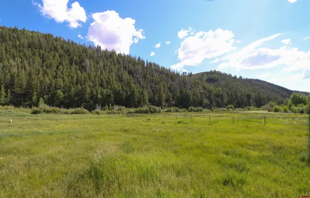 $285,000 | 101-131 Mountain Lion Lane, Parlin, CO 81239