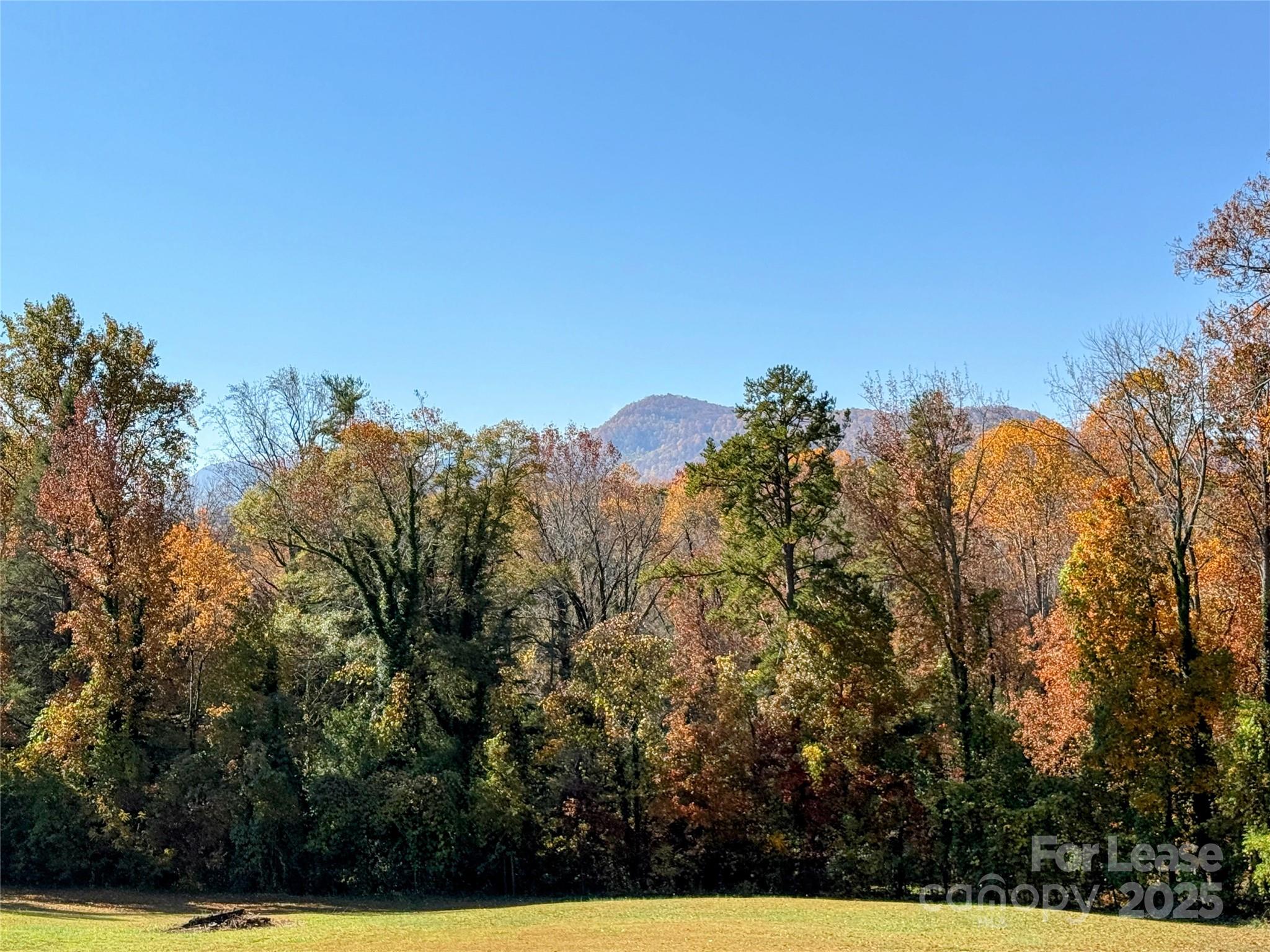 979 Howard Gap Road Tryon, NC 28782 - Photo 11 of 11 a view of a city