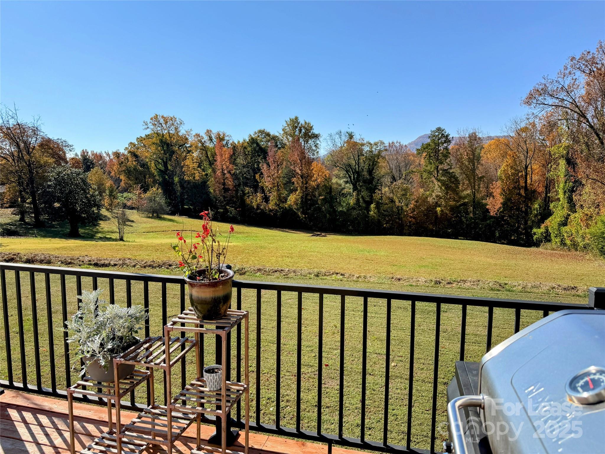 979 Howard Gap Road Tryon, NC 28782 - Photo 10 of 11 a view of a street