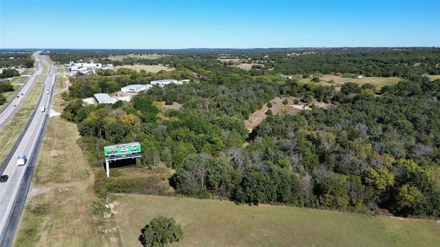 a view of a yard with plants