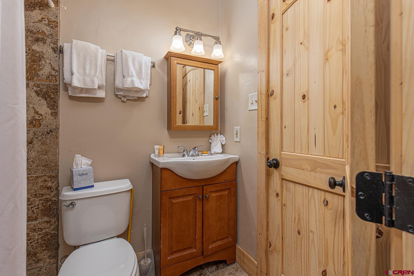 395 Sheol Street, Unit 37 Durango, CO 81301 - Photo 13 of 18 a bathroom with a toilet a sink and mirror