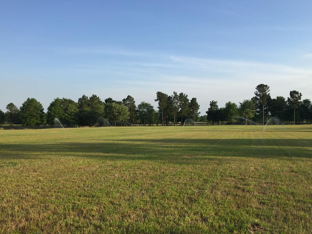 1060 Curb Chain Lane Windsor, SC 29856 - Photo 34 of 44