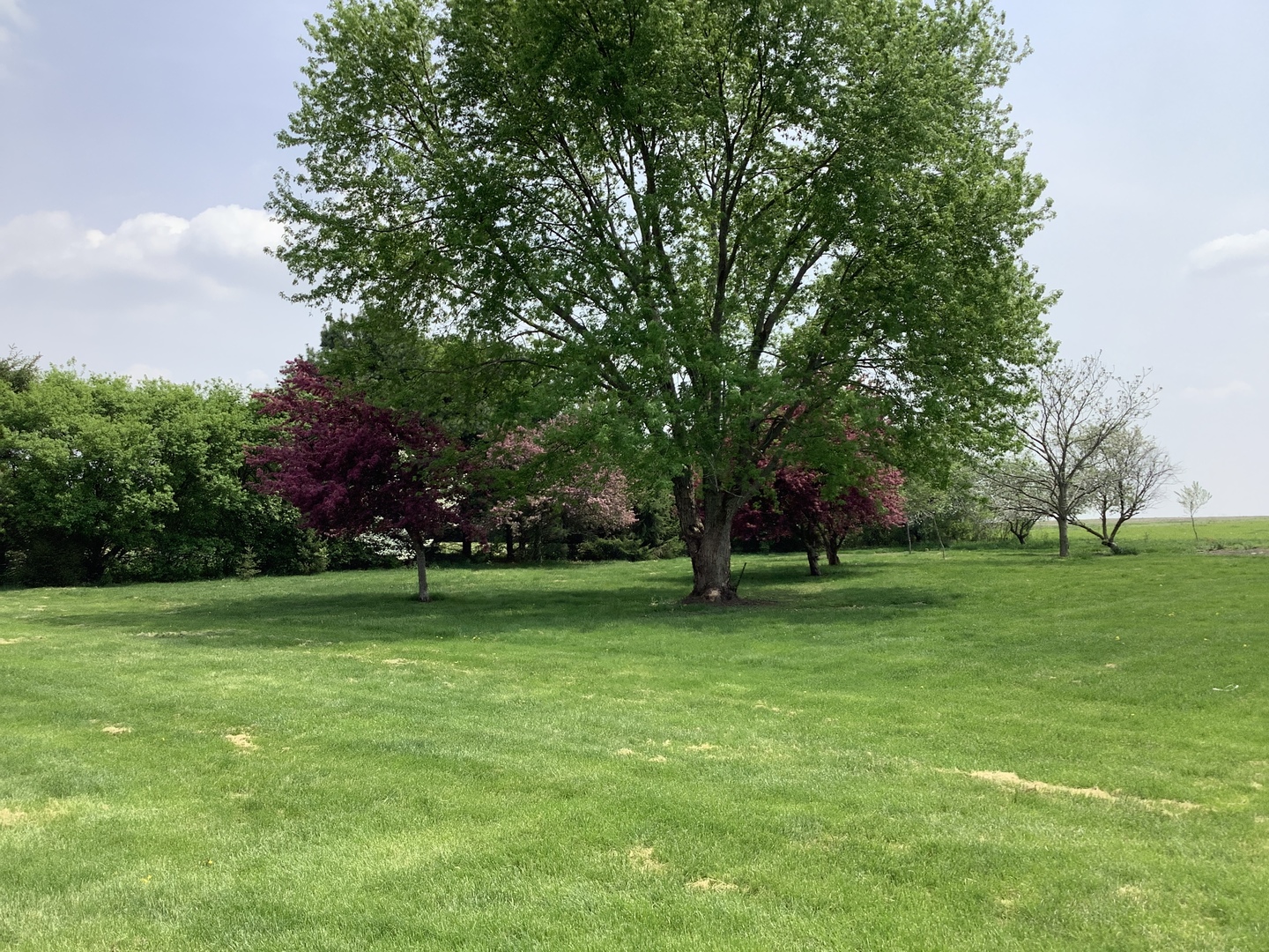 16623 West Sweedler Road Manhattan, IL 60442 - Photo 39 of 43 a view of a trees in a park